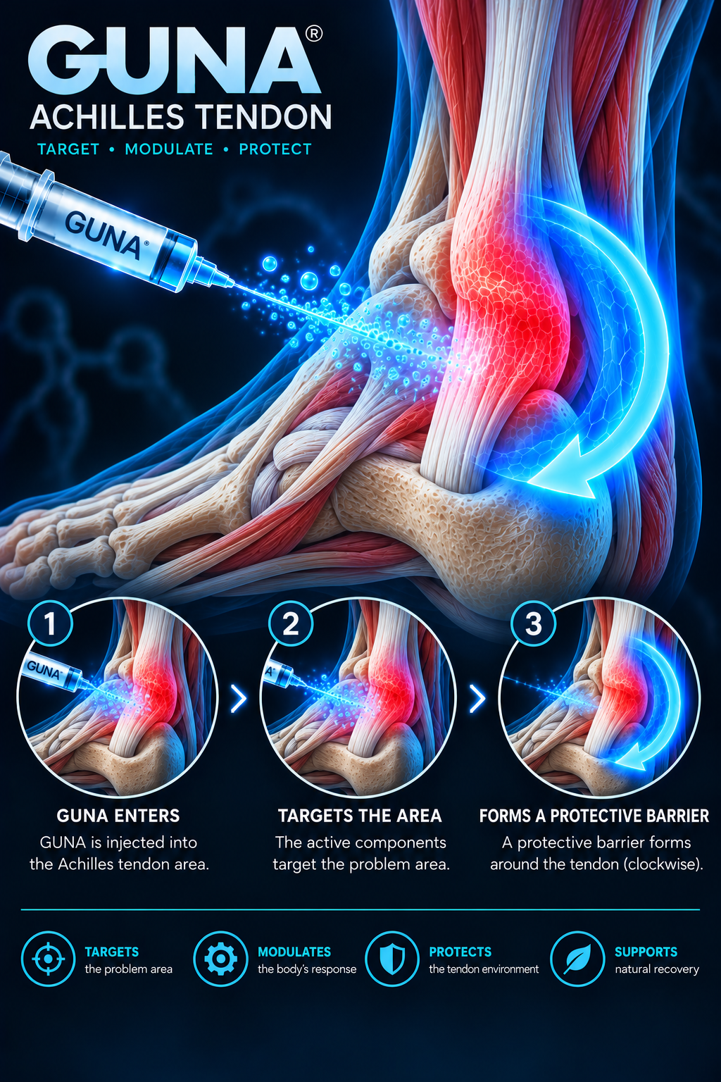 Achilles tendon anatomical illustration