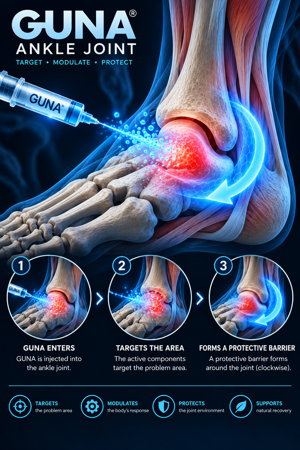 Ankle anatomical illustration
