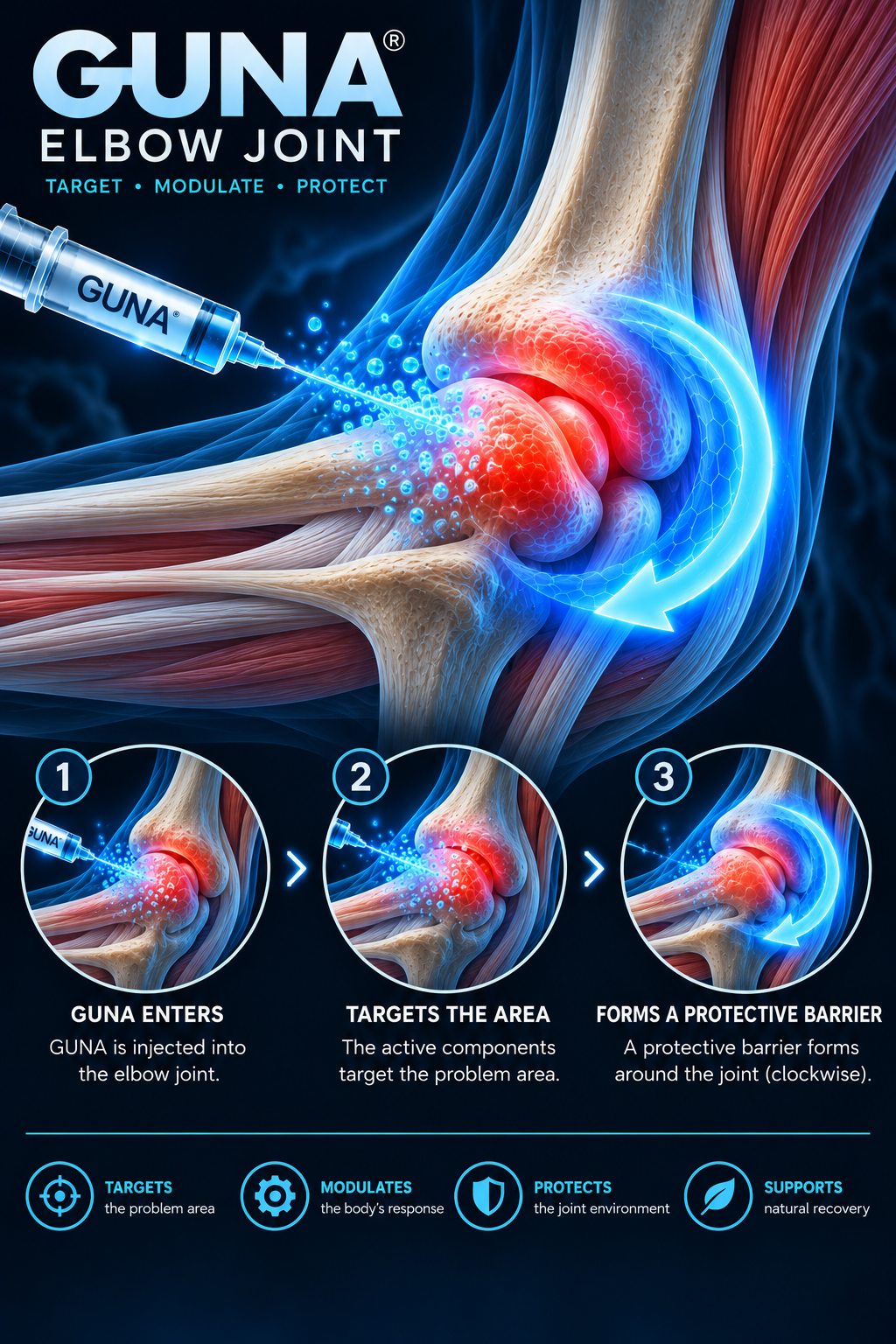 Elbow anatomical illustration