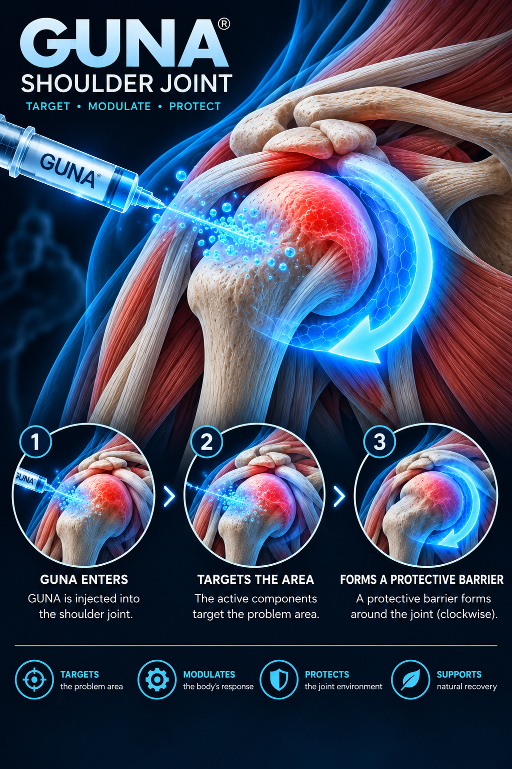 Shoulder anatomical illustration